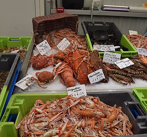 Shellfish, Typhoid, and Private Control of Disease