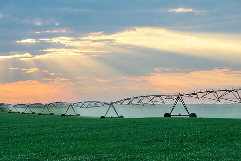 This Farm Subsidy Program Has the Highest Improper Payment Rate